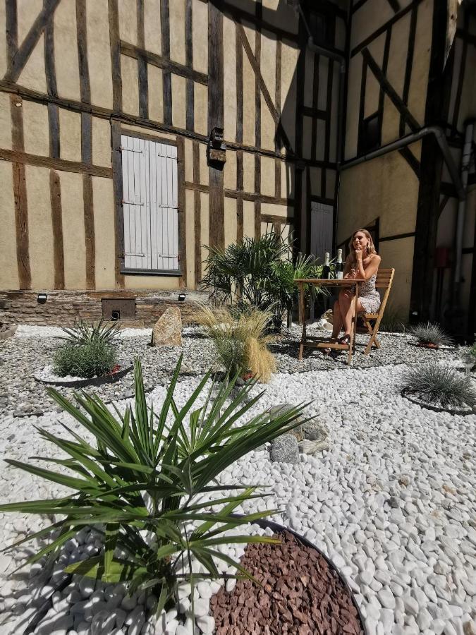 Les Cieux De La Cathedrale - Calme - Jardin - Wifi Lägenhet Troyes Exteriör bild